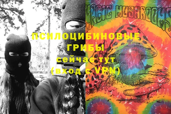 герыч Алексин