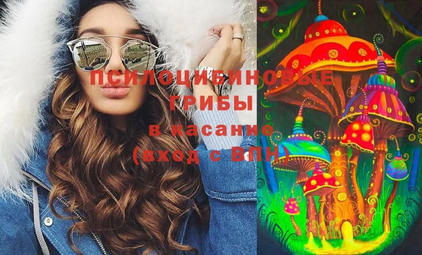 прущие крисы Алексеевка