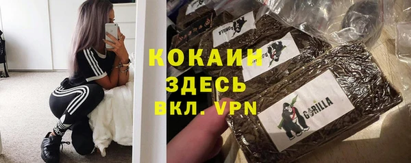 ГАЛЛЮЦИНОГЕННЫЕ ГРИБЫ Покров
