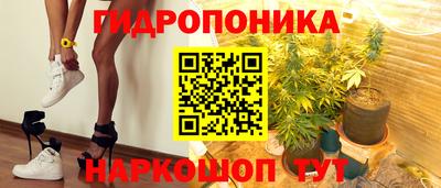 тгк Можга