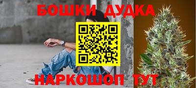 Альфа ПВП Моздок