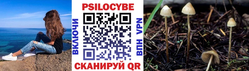 наркота  Чебаркуль  Псилоцибиновые грибы мухоморы 