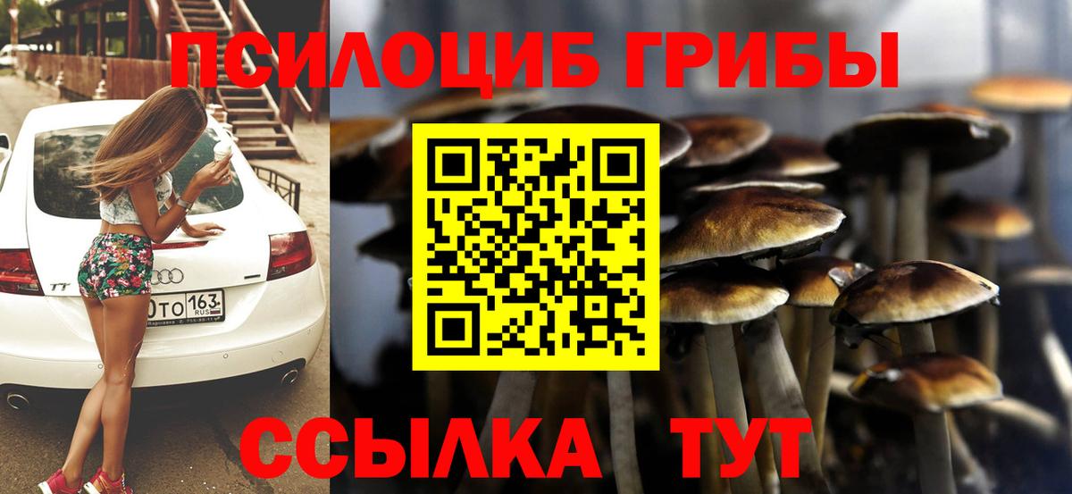 Галлюциногенные грибы Psilocybine cubensis Чебаркуль