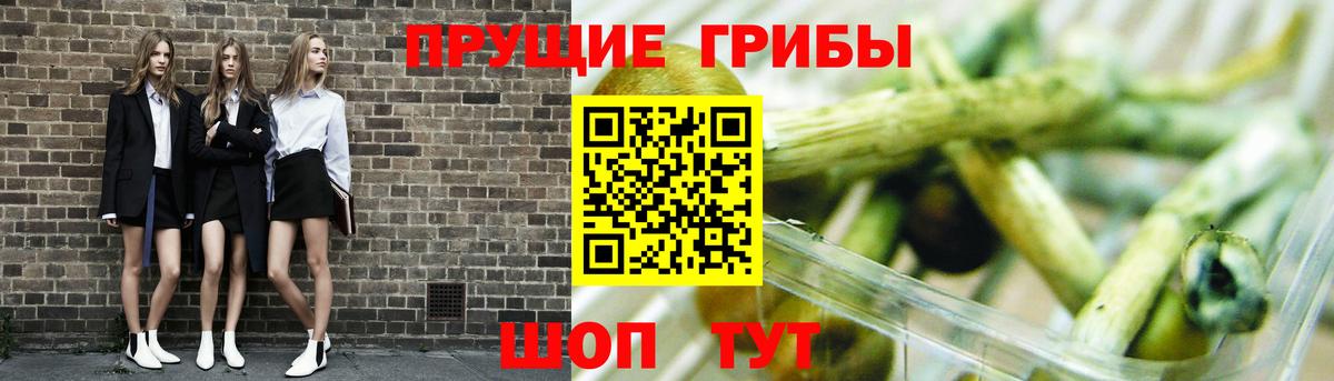 Галлюциногенные грибы мицелий  Вход с VPN  Галлюциногенные грибы ЛСД  Чебаркуль 
